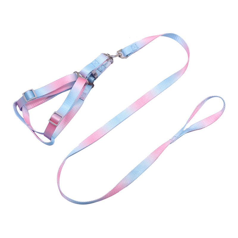 GRADIENT COLOR DOG GLEASH